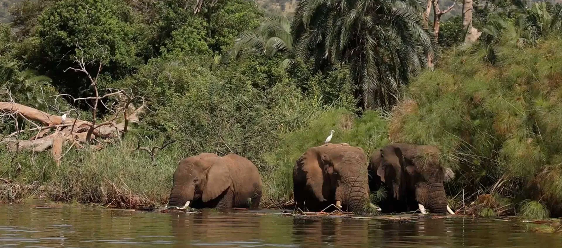 Akagera National Park Rwanda travel destination