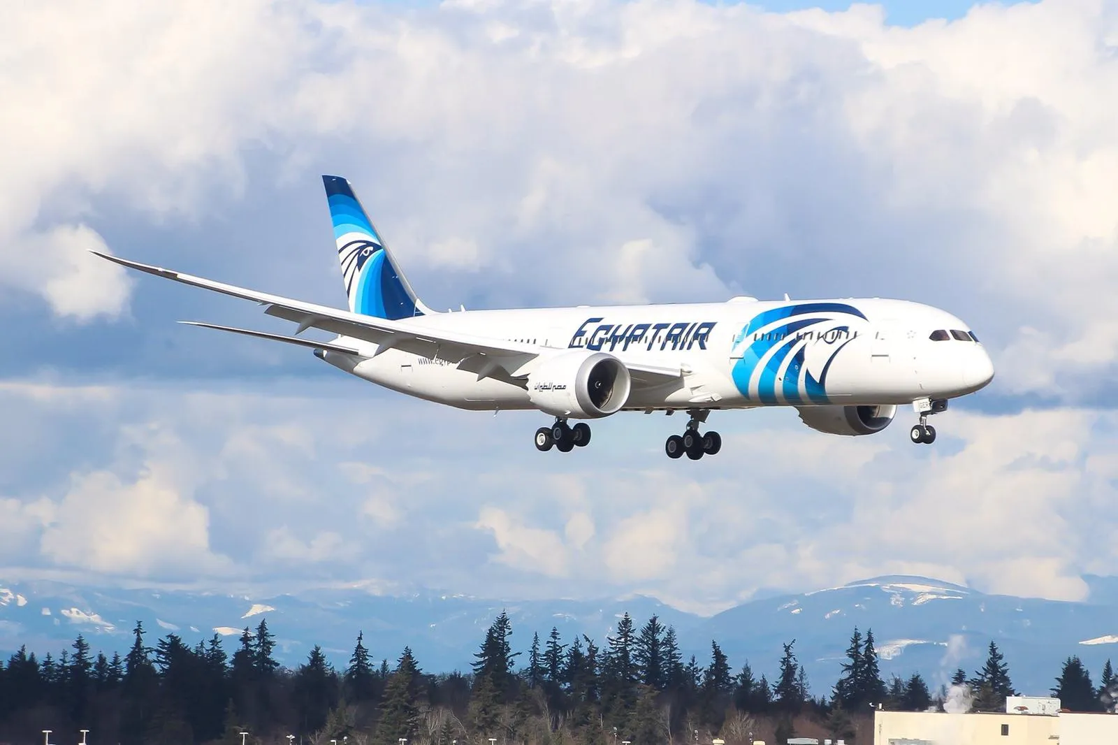 EgyptAir flights