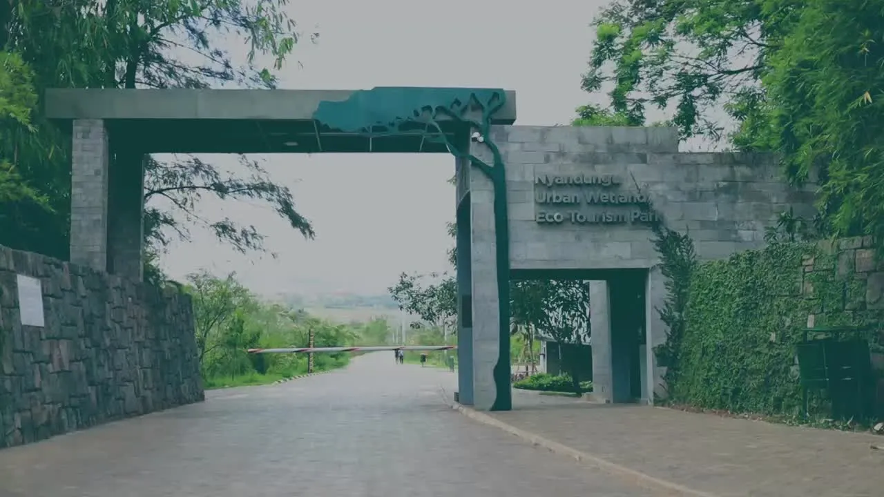 Nyandungu Eco-Park Experience in Rwanda