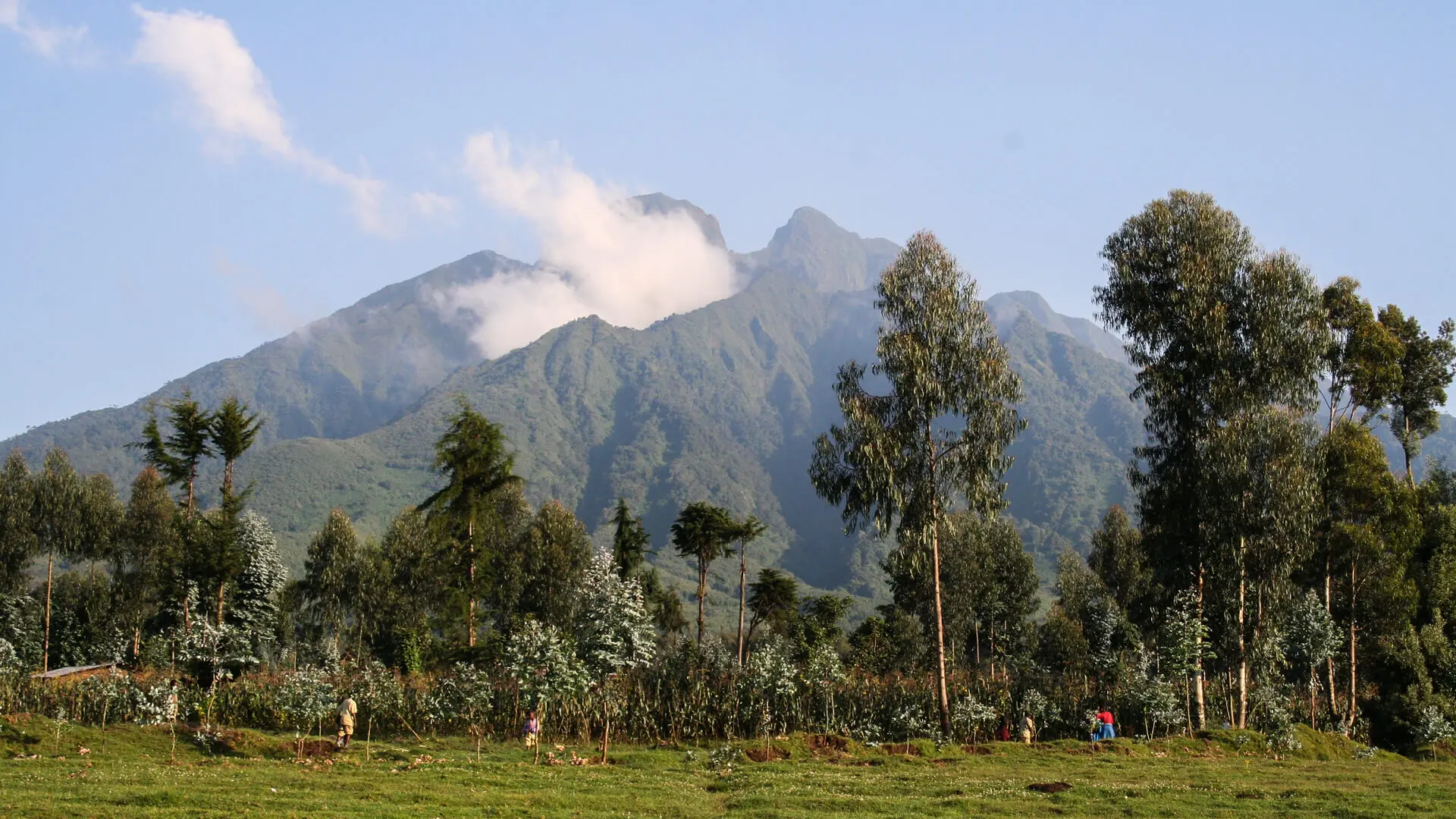 Rwanda nature and green landscape