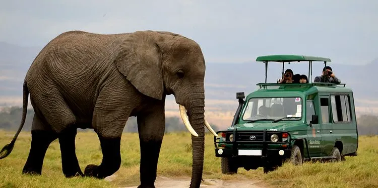 Akagera National Park safari landscape in Rwanda