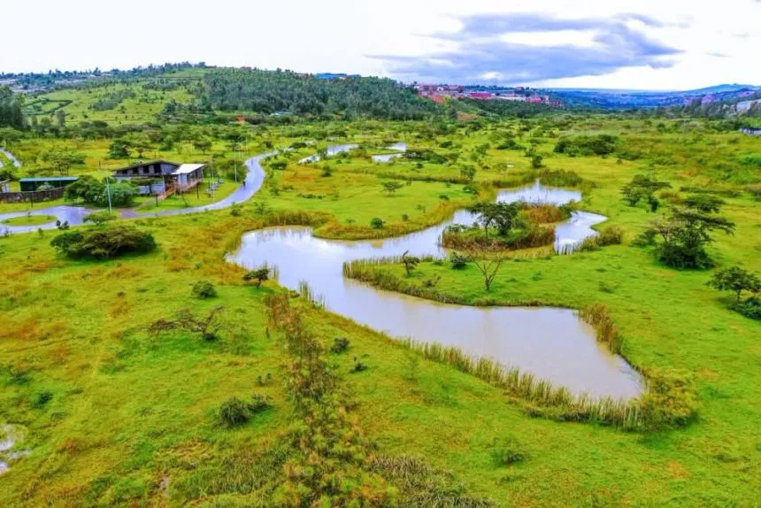 Rwanda Wetlands Experience in Rwanda